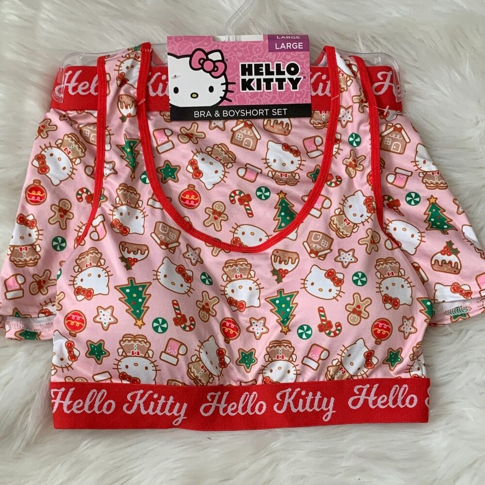 HELLO KITTY Holiday Bra & Boyshort Set in Red/Pink Sz LARGE